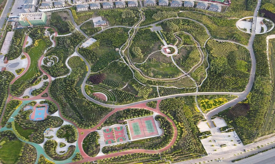 林东镇新城区路网、机关单位、市民公园及麓山公园绿化养护工程